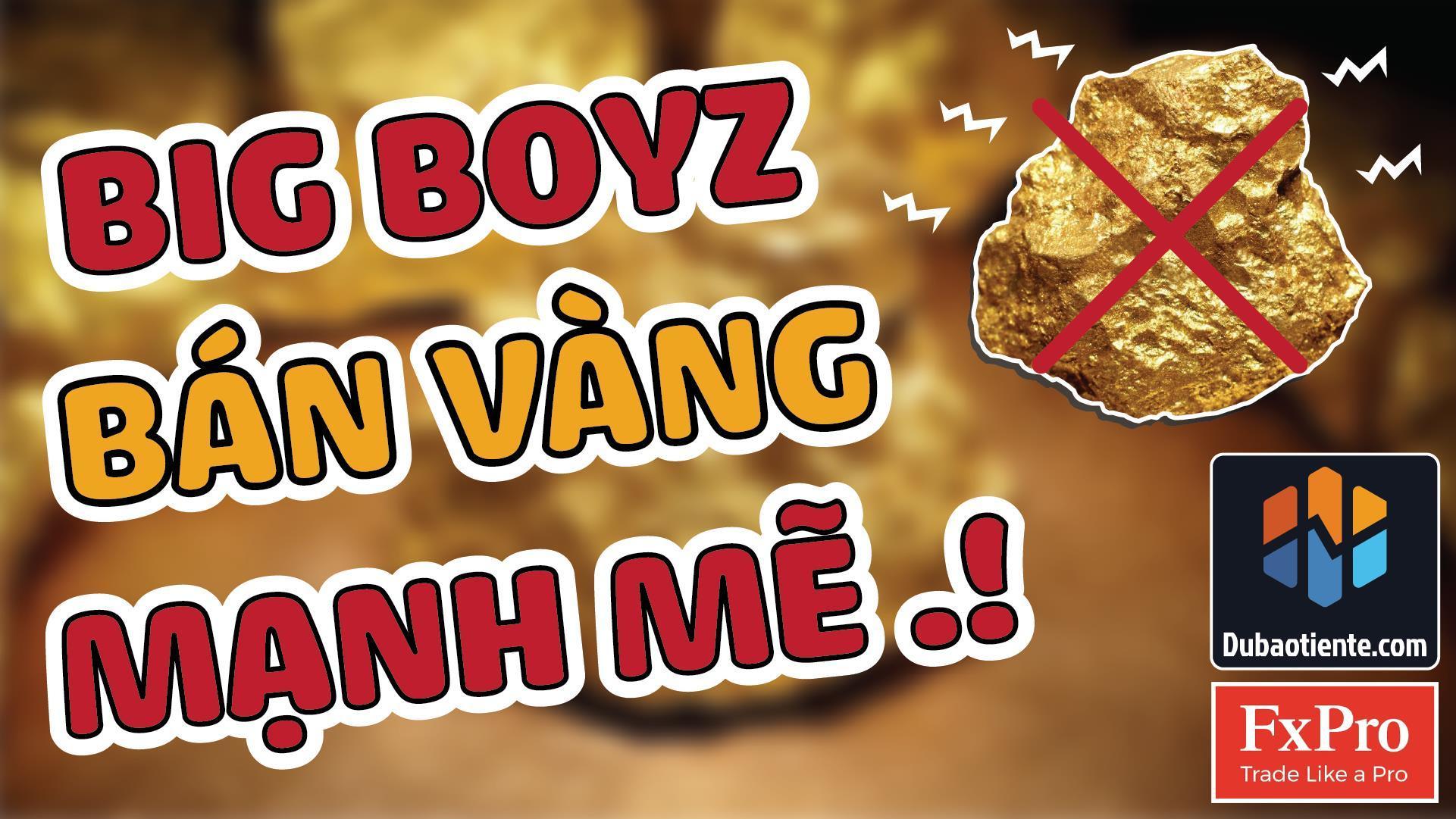 [ BẢN TIN DỰ BÁO TIỀN TỆ ] Hỗn Loạn Trên Chính Trường Mỹ Không Đủ Sức Ngăn Cản Big Boyz Bán Vàng