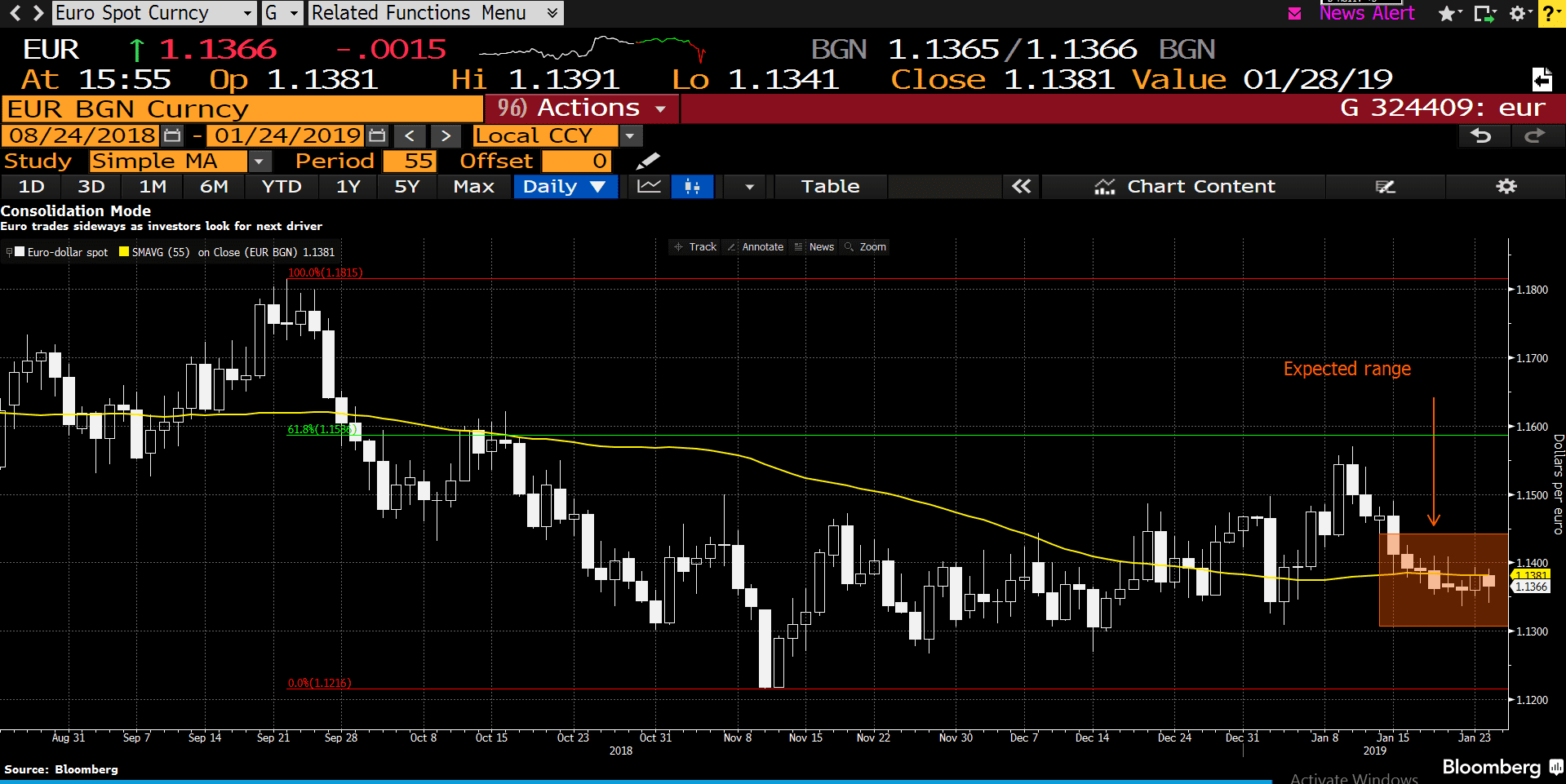 Euro in Focus