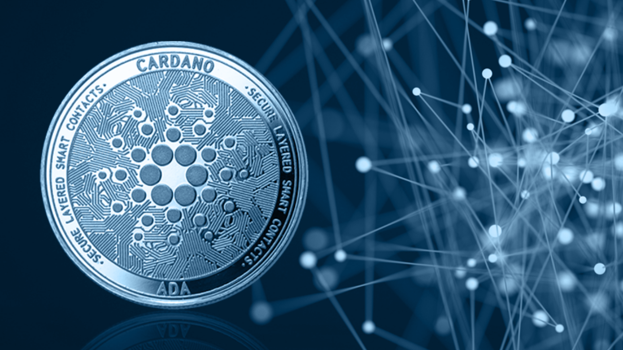 Cardano - "Chàng trai vàng" trong làng tiền kỹ thuật số