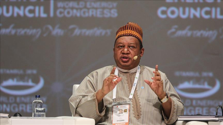 No specific oil price target set: OPEC&#39;s Barkindo