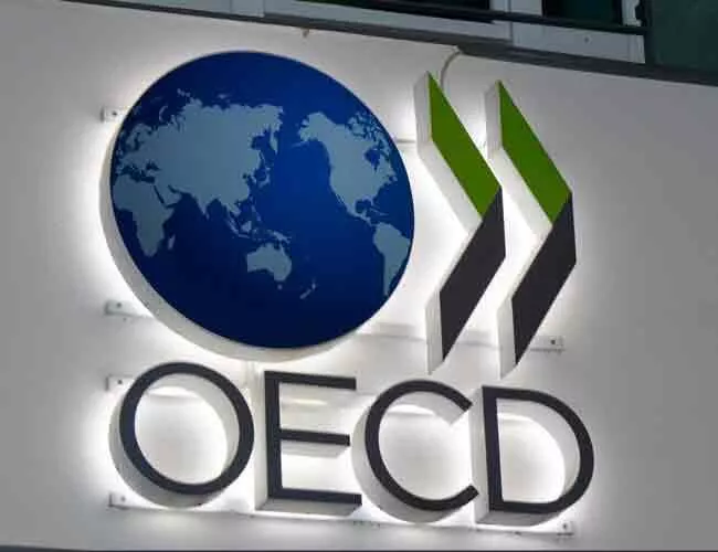 OECD revises Turkish GDP growth forecasts - Latest News