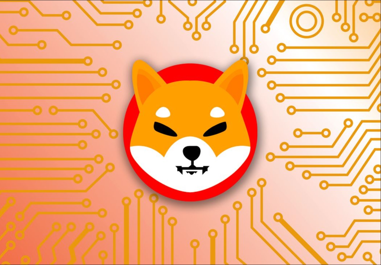 Shiba Inu là đồng tiền điện tử được tìm kiếm nhiều thứ ba trên Google trong năm 2021