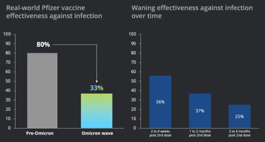 vaccine infection