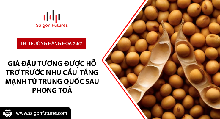 Giá đậu tương được hỗ trợ trước nhu cầu  tăng mạnh từ Trung Quốc sau phong toả