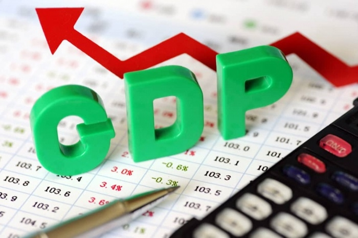 GDP growth estimated at 2.91% this year - Nhan Dan Online