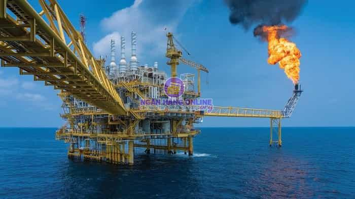 Những mã cổ phiếu ngành dầu khí oil tại Việt Nam và Thế Giới 2022