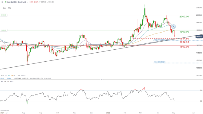 spot gold daily chart