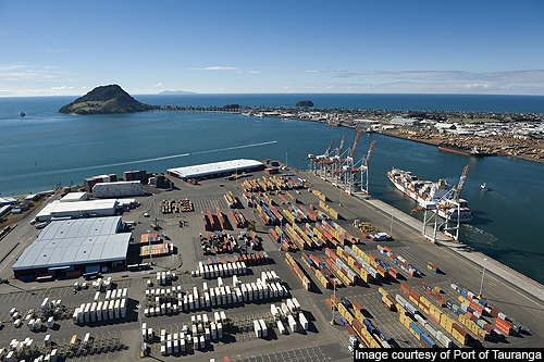 New Zealand Tauranga port posts first half profit of US$32.5 million - PORTS  - SeaNews