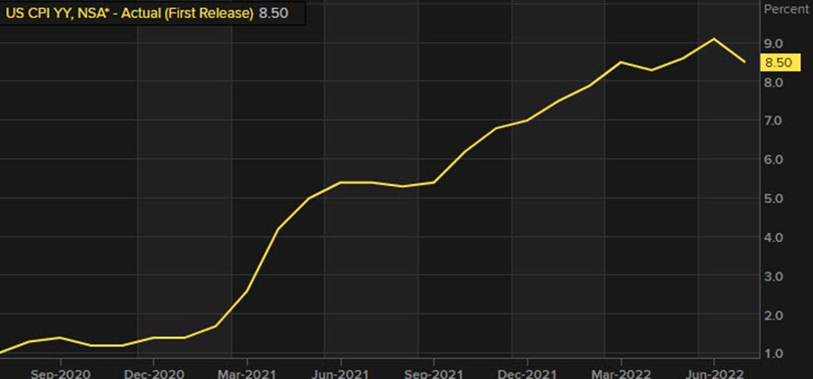 US CPI yy