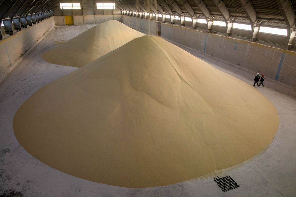 Workers inspect piles of phosphate fertilizer granules in a storage warehouse.