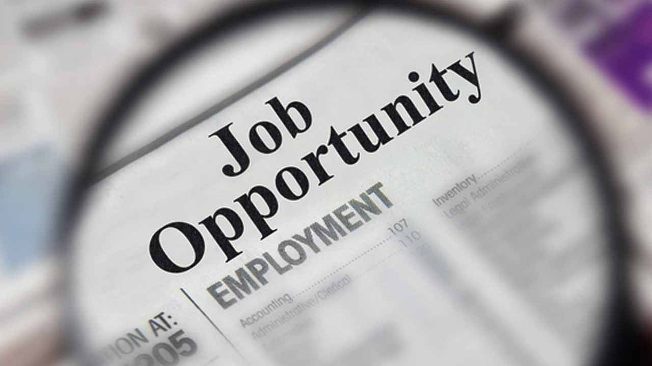 Stakeholders urge youth to diversify for job opportunities — Appointments —  The Guardian Nigeria News – Nigeria and World News