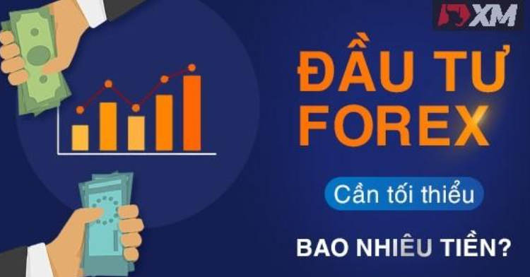 Giao dịch Forex cần bao nhiêu tiền?