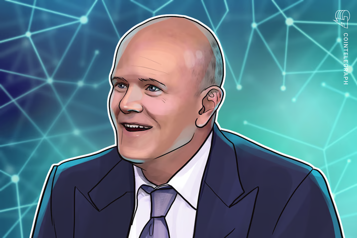 Memecoins are a ‘cornerstone’ of crypto — Galaxy’s Novogratz