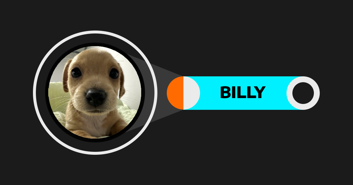 Billy (BILLY): Giới thiệu chú chó đáng yêu trên Solana