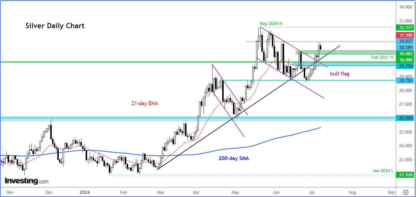 Silver Daily Chart