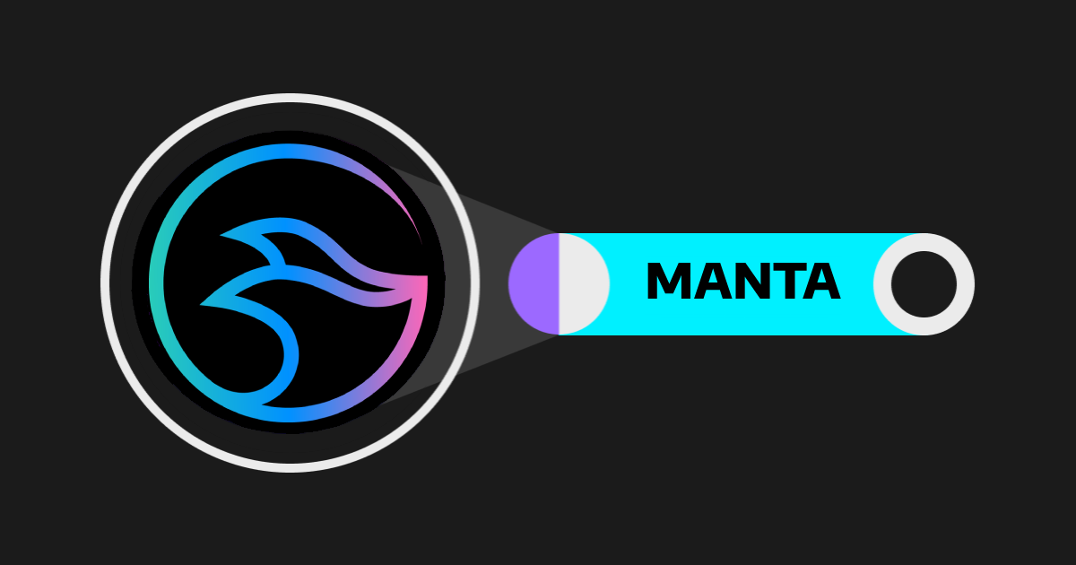 Manta Network (MANTA): Xây dựng Web3 với cách tiếp cận blockchain kép