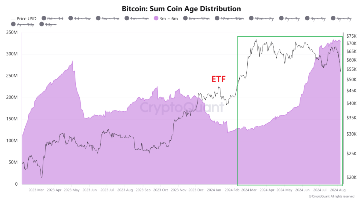 Bitcoin Sum Coin Age chart