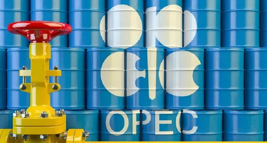 Oil Rebounds as OPEC+ Mulls Output Raise | Business Post Nigeria