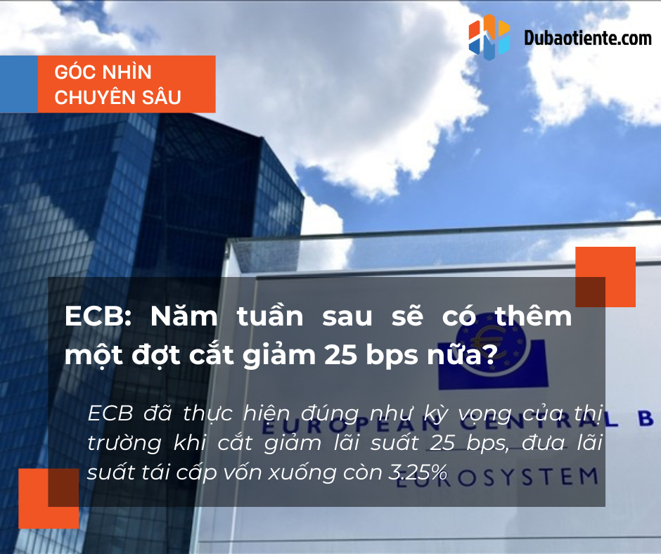 ECB: Năm tuần sau sẽ có thêm một đợt cắt giảm 25 bps nữa?