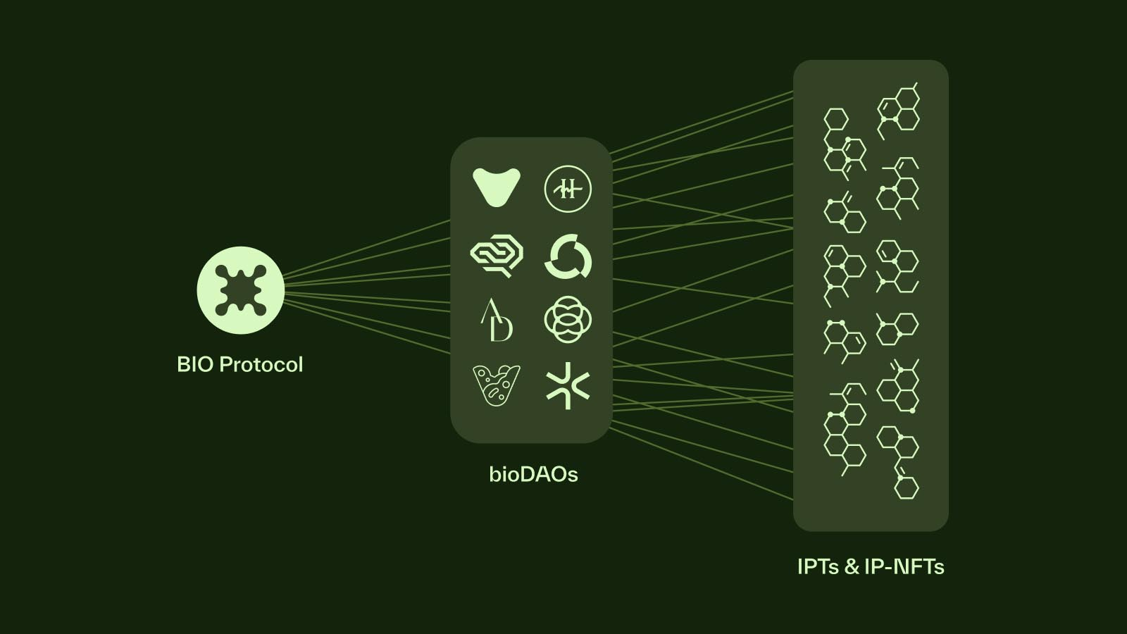 BIO Protocol Vision • BIO Resources